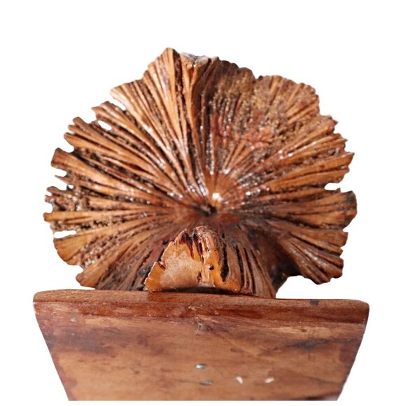 Vintage Hand-Carved Wooden Owl Bird Wood Burl Rustic Decor - Picture 5 of 8